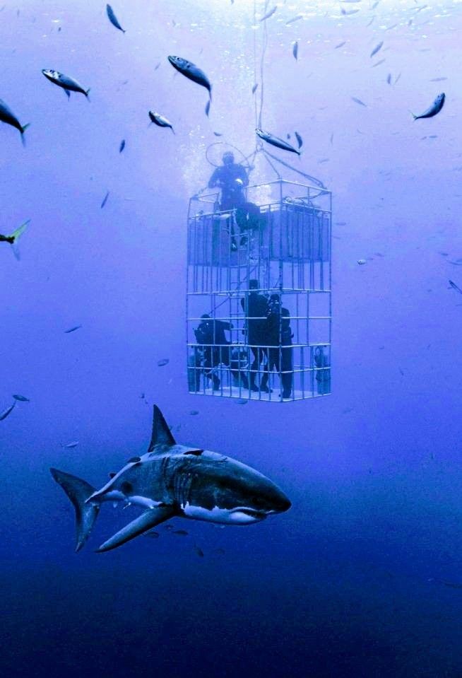 Thrill gallery image 6